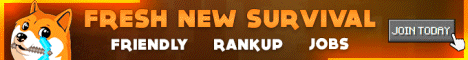 DogeCraft banner