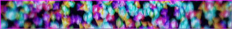 finnsteal banner