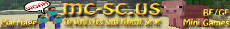 SocialCraft banner