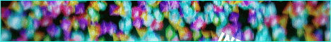 CircusCraft banner