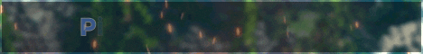 Pixel Pouch Network banner