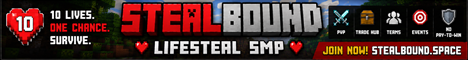 StealBound SMP banner