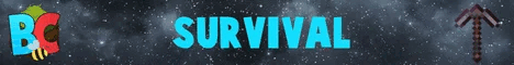 Binstercraft banner