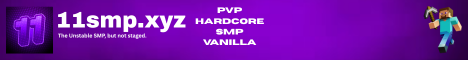 11SMP banner
