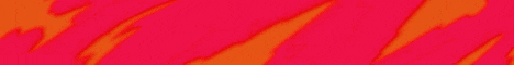 Bohol Network banner