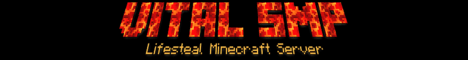 Vital SMP banner