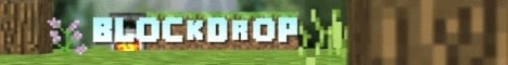 Blockdrop banner