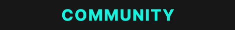 TeasedSMP banner