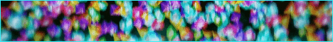 HydenMC banner