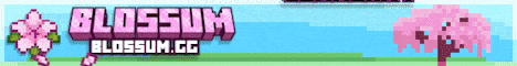 Blossom SMP banner