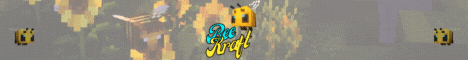 BeeKraft banner