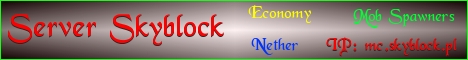 Skyblock banner