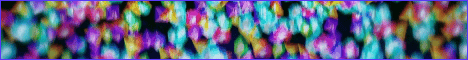 Revision MC banner