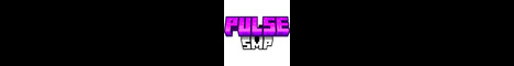 Pulse SMP banner