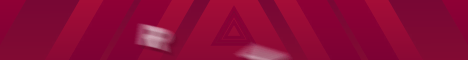 RapidzMC banner