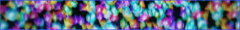 TheYolos banner