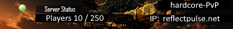 ReflectPulseSMP banner
