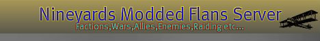 NineYards Flan Server banner