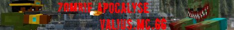 Valius banner