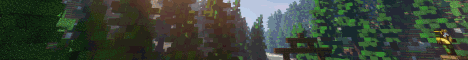 Rokucraft banner