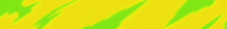 top1server banner