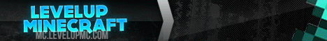 Level Up Minecraft banner