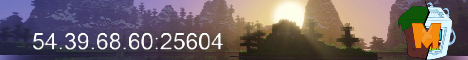 Media banner