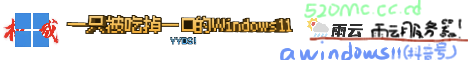 awindows11 server banner