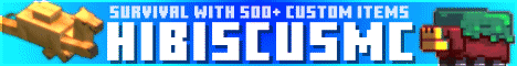 HibiscusMC banner