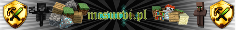 MCSurvi.pl banner
