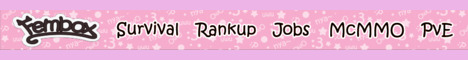 FemboxSMP banner