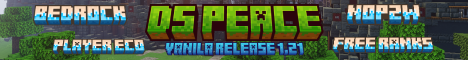 DSPeace banner