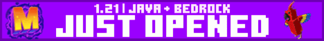 MetroMC banner