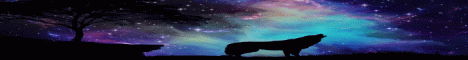 AspectGaming banner