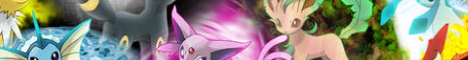 Pixel Society banner