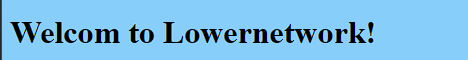Lowernetwork banner