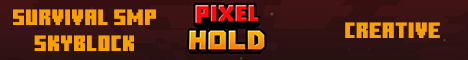 Pixel Hold banner