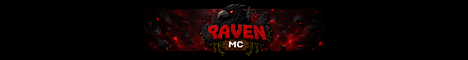 RavenMc Network banner