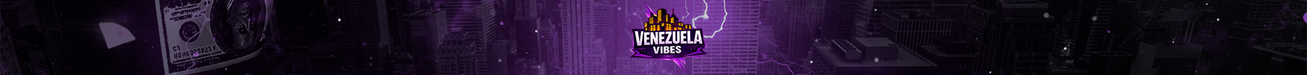 VENEZUELA VIBES banner