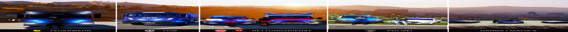 FREIBURG ROLEPLAY banner