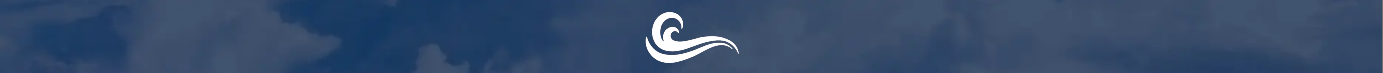 Wave Testserver banner