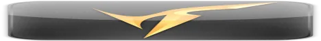icomph banner