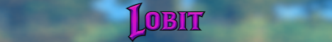 Lobit banner