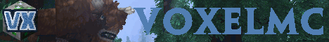 voxelmc.de.83993 banner
