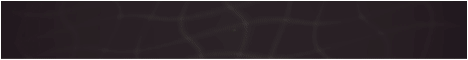 HySteez US banner