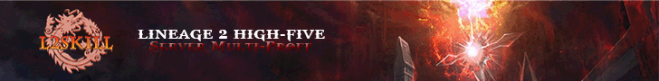 L2SKILL - High Five Multiproff banner