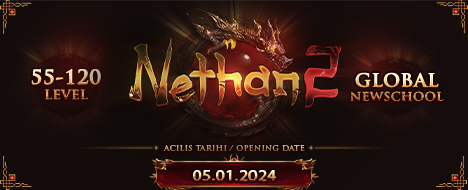 Nethan2 | International | NewSchool banner