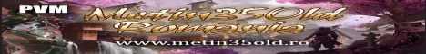 Metin35Old.ro - PVM banner