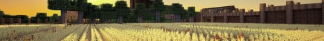 CelarionMC banner