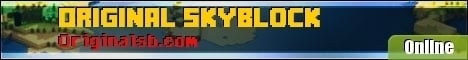 Skyhubmc banner